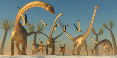 Diplodocus dinozor yolculuk