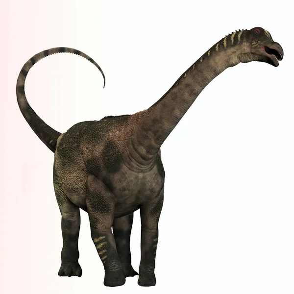 Antarctosaurus 配置文件 — 图库照片