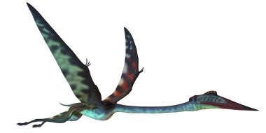 Quetzalcoatlus profili
