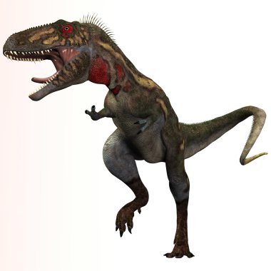 nanotyrannus profili