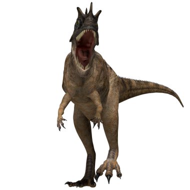 ceratosaurus dinozor profili