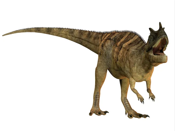 Ceratosaurus na bílém pozadí — Stock fotografie