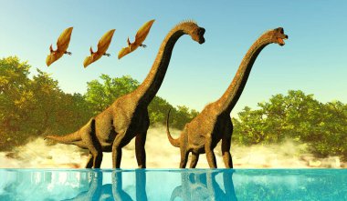 Pterodactyl sürüngenler iki Brachiosaurus Titanosaur Sauropod dinozorunun üzerinden uçarak suyun tadını çıkarırlar..