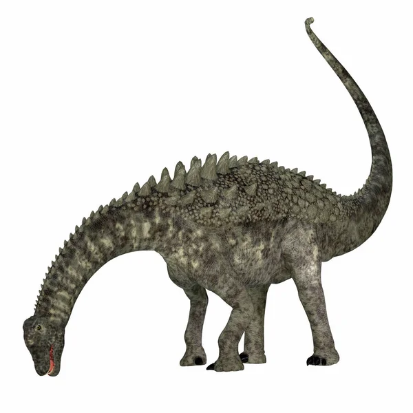 사우루스 Amamelosaurus 백악기에 유럽에서 살았던 사우로 사우루스 공룡이다 — 스톡 사진