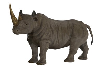 Gergedan, Afrika, Hindistan ve Asya 'da yaşayan kalın derili boynuzlu bir memelidir..