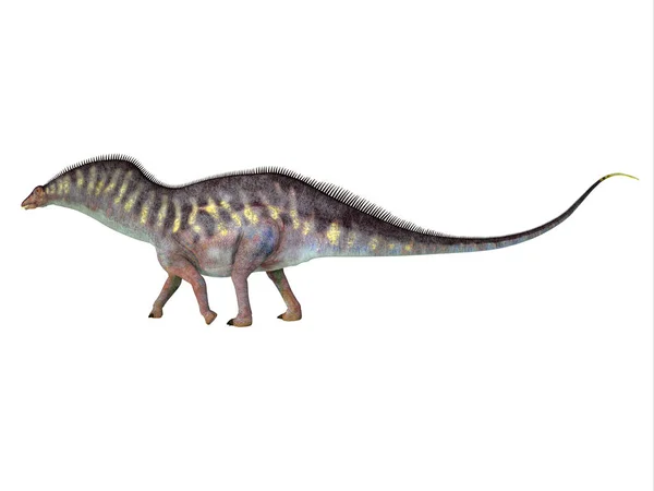 Amargasaurus Fue Dinosaurio Saurópodo Herbívoro Que Vivió Argentina Durante Período — Foto de Stock