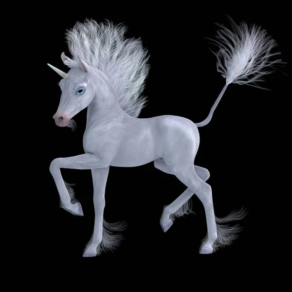 Little White Colt Unicorn Famous Legendary Creature Magical Abilities — Stock Photo, Image