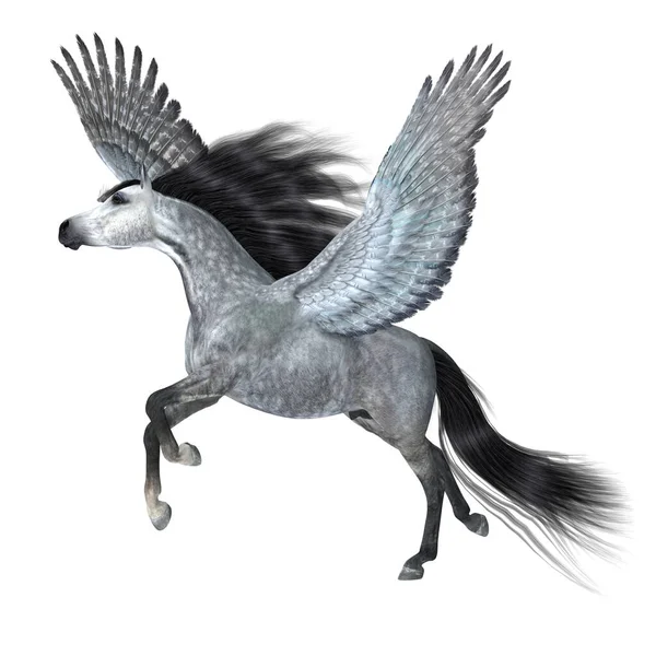 Ein Wunderschöner Silber Gefleckter Pegasus Hengst Hebt Mit Magischen Flügeln — Stockfoto