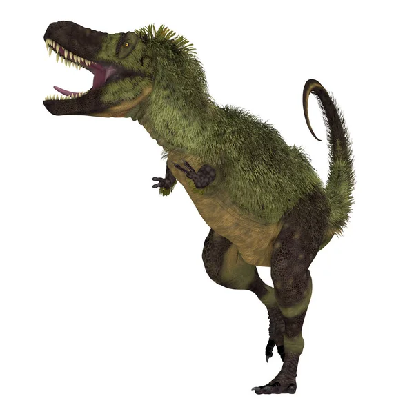 Тарбозавр Плотоядным Пернатым Динозавром Который Жил Азии Меловой Период — стоковое фото