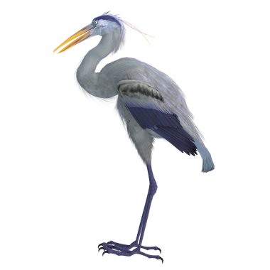 Bennu Heron, Afrika mitolojisinde bir tanrı ve ikon olarak tasvir edilen nesli tükenmiş bir kuştur..