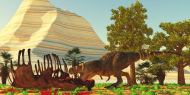Bir Alamosaurus 'u öldürdükten sonra bir Tyrannosaurus rex dinozoru et tıka basa yer..