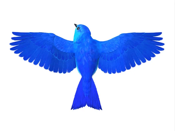 Modrý Pták Štěstí Symbolem Radosti Těší Lepší Časy Budoucnu — Stock fotografie