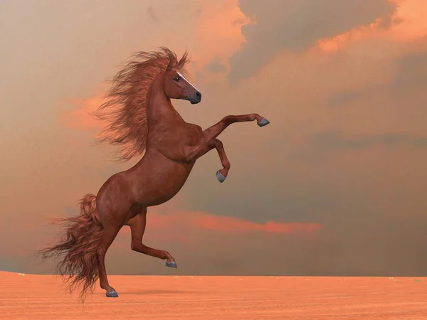 Beautiful Wild Chestnut Stallion Rears Desert Area — Stock Photo, Image