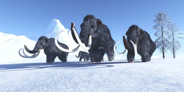 Herd Woolly Mammoths Make Way Frozen Snow Warmer Climate — Stock Photo, Image