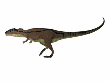 Carcharodontosaurus, Kretase döneminde Afrika, Sahra 'da yaşayan yırtıcı bir theropod dinozorudur..