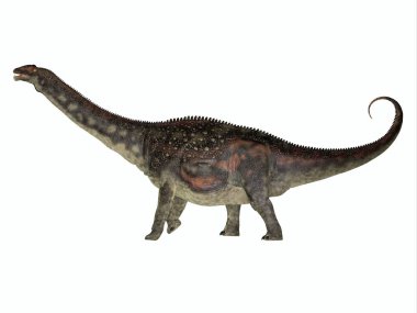 Diamantinasaurus, Kretase Dönemi boyunca Avustralya 'da sürüler halinde yaşamış otçul bir Sauropod dinozorudur..
