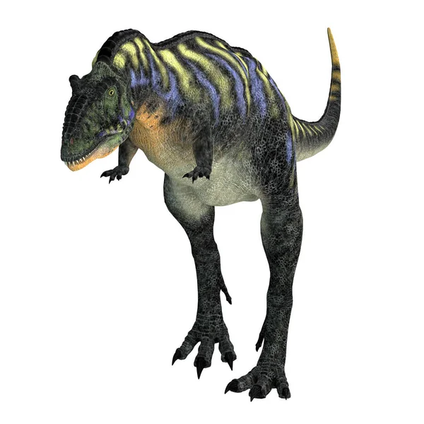 Aucasaurus Carnivorous Theropod Dinosaur Lived Argentina Cretaceous Period — Stock Photo, Image