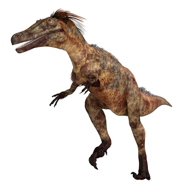 Austroraptor Een Vleesetende Theropode Dinosaurus Die Leefde Argentinië Tijdens Het — Stockfoto
