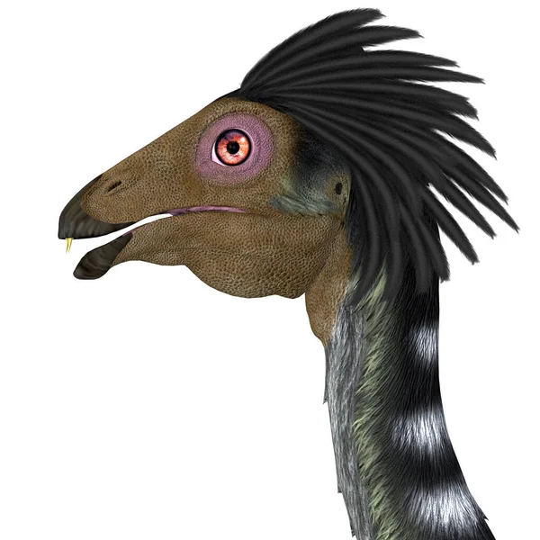 Caudipteryx War Ein Fleischfressender Raubvogel Der Während Der Kreidezeit China — Stockfoto