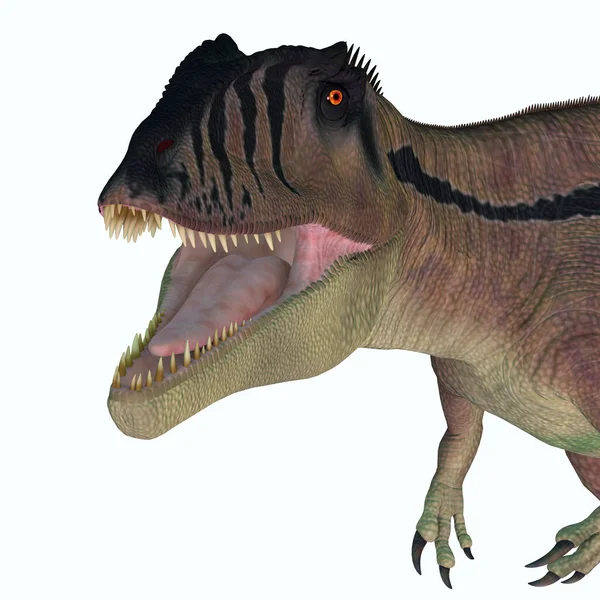 Carcharodontosaurus War Ein Räuberischer Theropoden Dinosaurier Der Sahara Afrika Während — Stockfoto