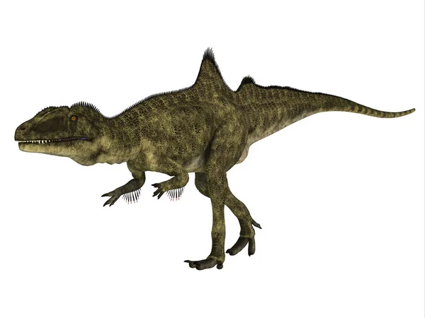 Concavenator Était Dinosaure Théropode Carnivore Qui Vivait Espagne Pendant Période — Photo