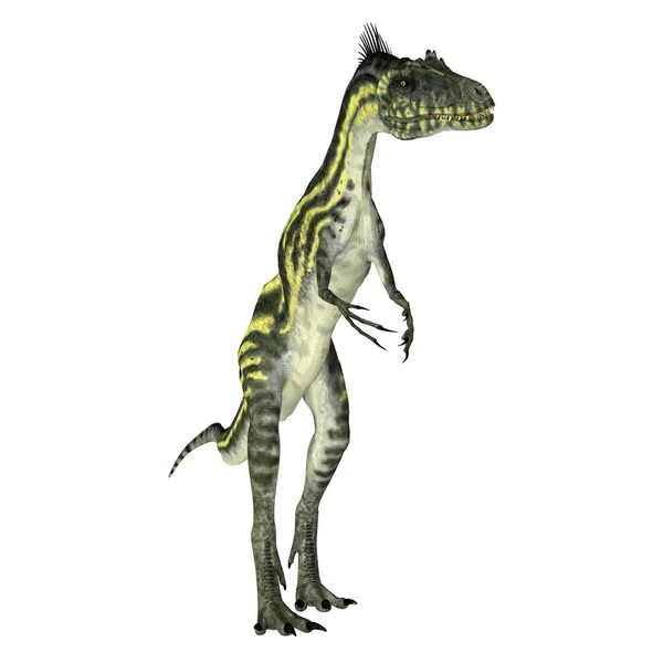 Deltadromeus是白垩纪生活在非洲的小型食肉兽脚类恐龙 — 图库照片