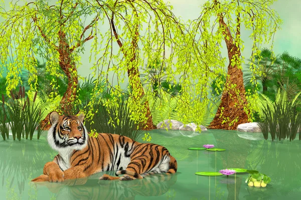 Tygr Leží Mokřadním Jezírku Během Denního Vedra — Stock fotografie