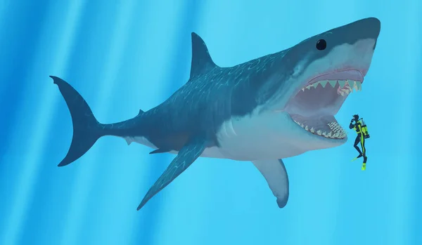 Megalodon Vyhynulý Megatoothed Žralok Který Existoval Prehistorických Dobách Oligocénu Pleistocenní Stock Obrázky