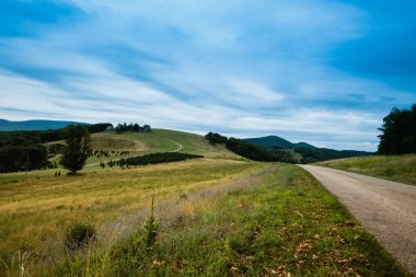 Virginia Hills