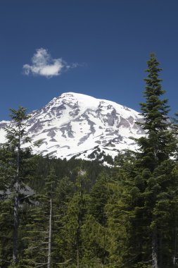 Mount Rainier