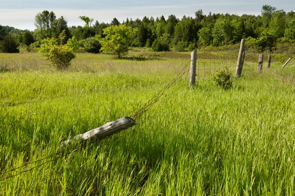 Gehavende draad hek — Stockfoto