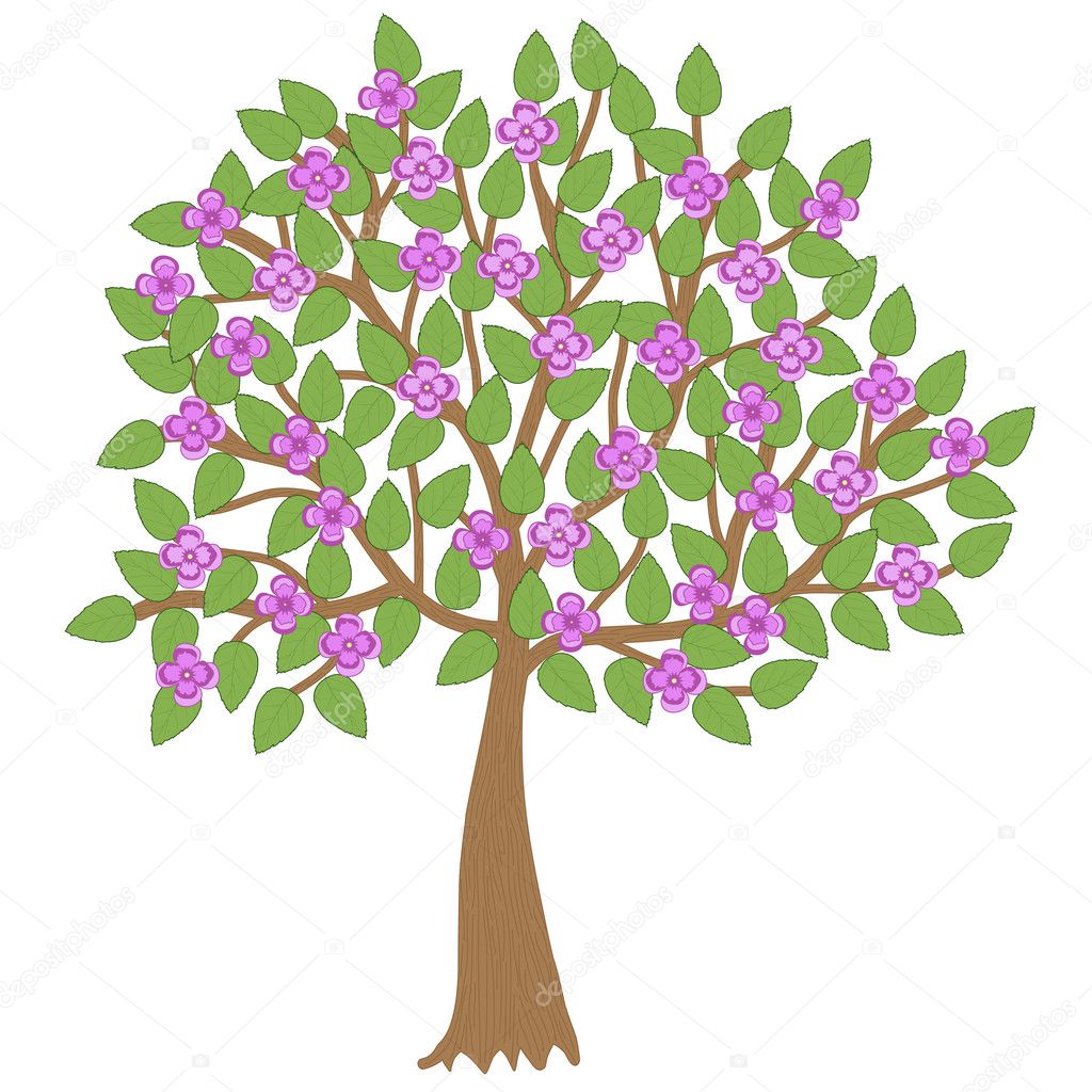 Vector blossom tree illustration