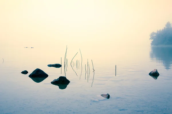 호수에 안개 아침 — 스톡 사진
