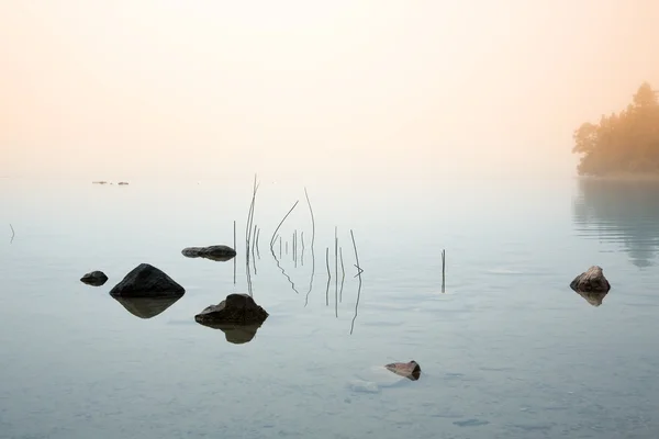 湖での霧の朝 — ストック写真