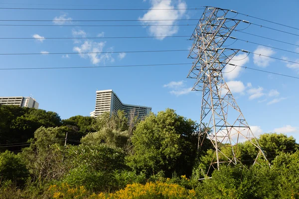 Powerlines in a Park — Stock Photo, Image