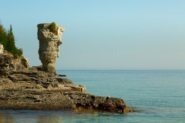 Saksının Adası