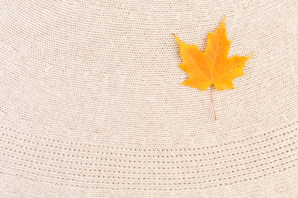 Maple Leaves on Wool — Stock Photo, Image