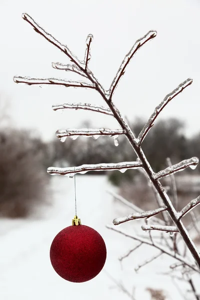 Christmas decoration on frozen branch — Stock Photo, Image