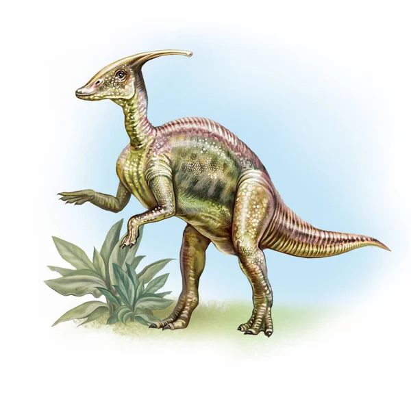 Troodon Dinossauro Mesozóico Cretáceo Desenho Realista Imagem