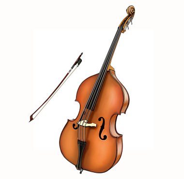 Double bass, largest and lowest-pitched bowed (or plucked) string instrument in the modern symphony orchestra, realistic drawing, isolated image on white background clipart