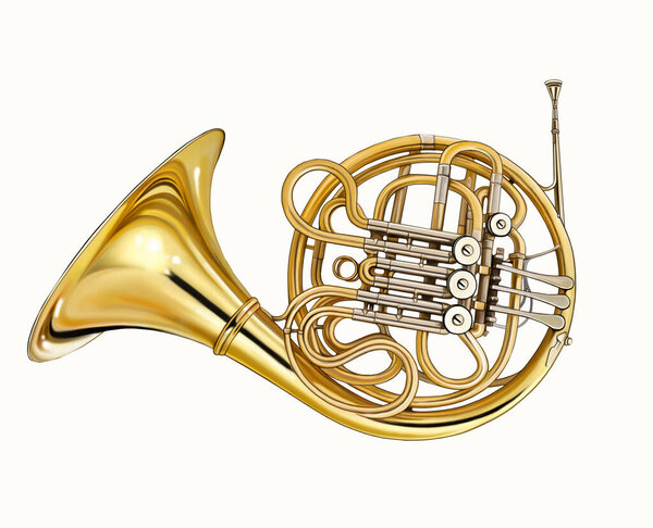 Французский рог, латунный музыкальный инструмент, классический симфонический оркестр, изолированное изображение на белом фоне