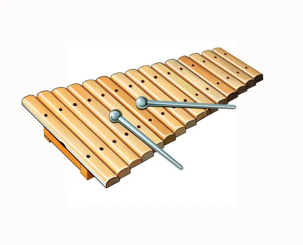 Xylophone with sticks, percussion musical instrument, symphony orchestra realistic drawing, isolated image on white background