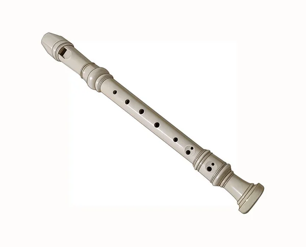 Fipple Flute Wind Instrument Realistic Drawing Isolated Image White Background — Stock Photo, Image