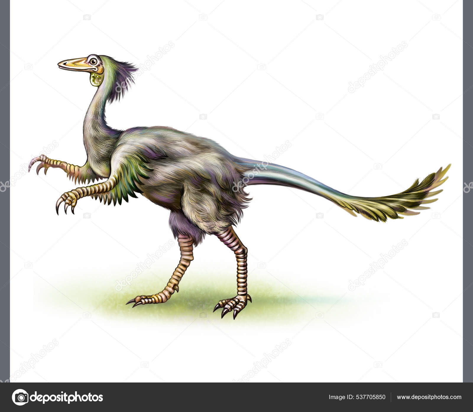 Troodon Dinossauro Mesozóico Cretáceo Desenho Realista Imagem