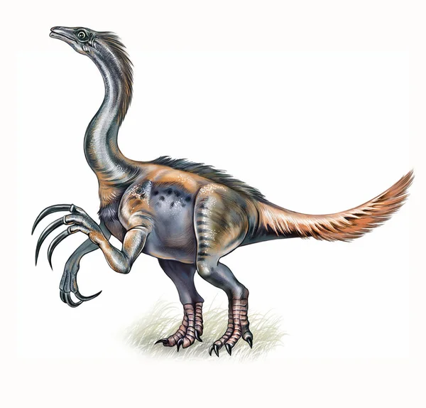 Therizinosaurus Cheloniformis Realistic Drawing Cretaceous Mesozoic Dinosaur Isolated Image White — Stock Photo, Image