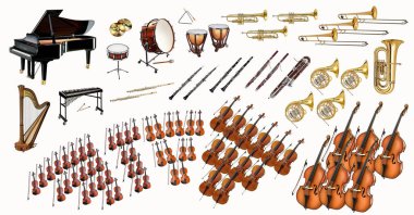 Senfoni orkestrası şeması, müzik aletlerinin düzenlenmesi, beyaz arkaplanda izole edilmiş görüntüler..