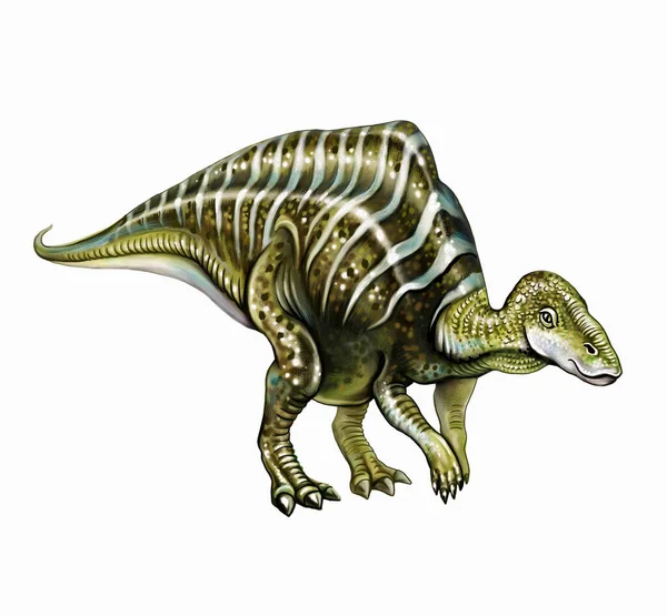 白亜紀中生代のハドロサウルス科の恐竜マヤサウルス 現実的な絵 白い背景に孤立した画像 — ストック写真