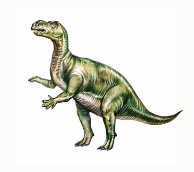 Muttaburrasaurus, iguanodontid ailesinin altsipariş ornitorenk dinozorları, gerçekçi çizimler, beyaz arka planda izole edilmiş bir görüntü..