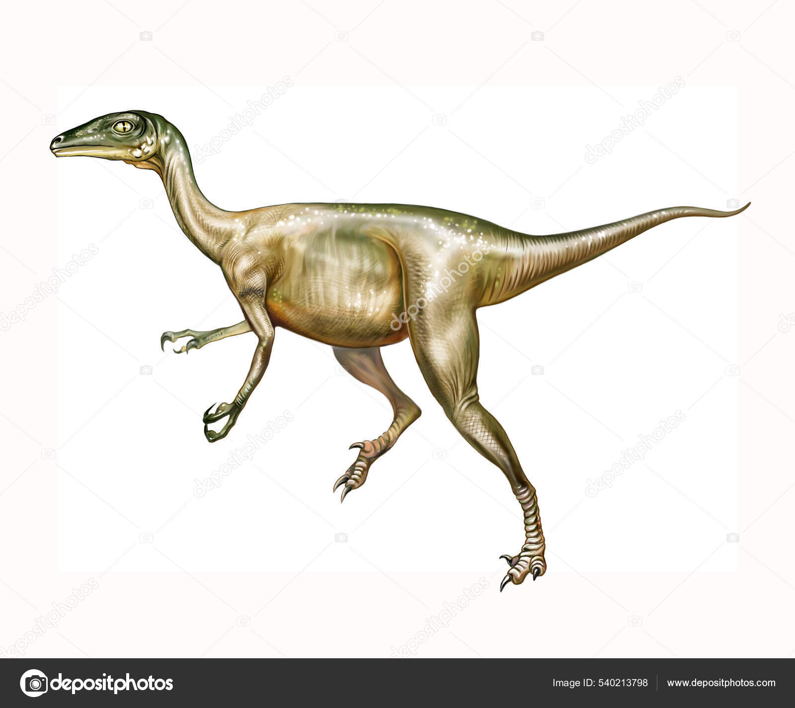 Troodon Dinossauro Mesozóico Cretáceo Desenho Realista Imagem