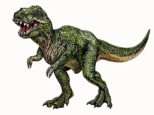 霸王龙 Tyrannosaurus Rex 猛兽科食肉动物脚类恐龙 逼真的图画 中生代动物的图解 白色背景上的孤立图像 — 图库照片